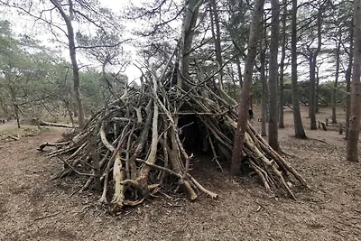 5 stelle case ad Rømø