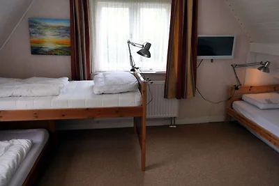 Ferienhaus in wierum mit Schwimmbecken