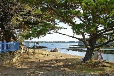 Vakantiehuis in Morbihan met Zeezicht