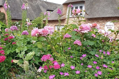 "ual skinne" - Brarenhof