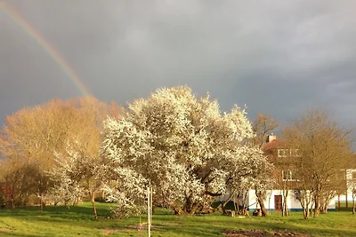 In prossimitá (estate) (<1 km) In prossimitá (estate) (<1 km)