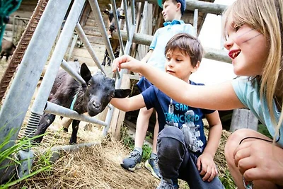 Apartment in Beaufort in der Nähe des Lac de...