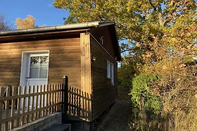 Eifelcottage Zaunkönig