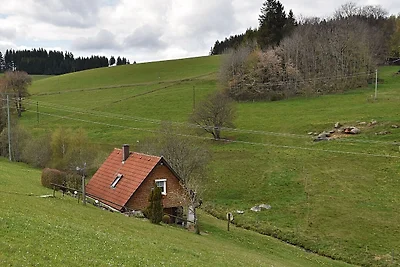 Ferienhaus in der Nähe von Skipisten