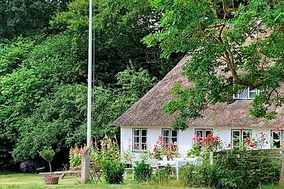 6 Personen Ferienhaus in Augustenborg