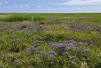 4 persoons vakantie huis in Bramming-By Traum