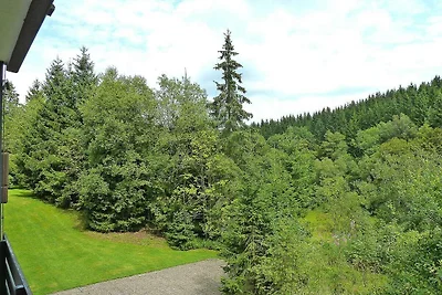 Ferienwohnungen in Winterberg