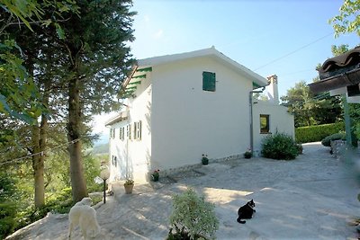 Immobilien in Sant'Agata Feltria