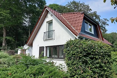 In het Recknitzdal