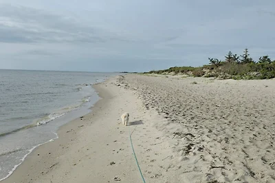 Ruhiges Bauernhof-Anneks -- By Traum...