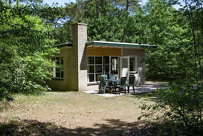 Bungalow con stufa in legno, vicino ad Assen