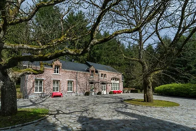 Luxe woning in Gedinne met privé hottub en...