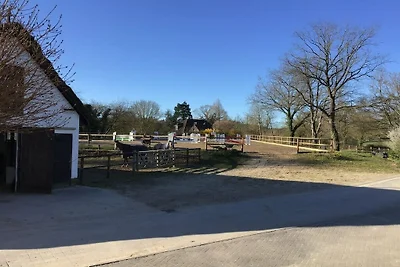 Landidyll unter Reet