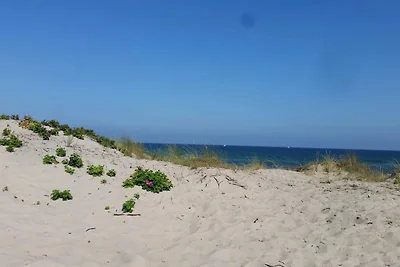 4 Personen Ferienhaus in Frederiksværk