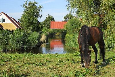 Ferienhaus mit Steiger, 19 km. Van Hoorn