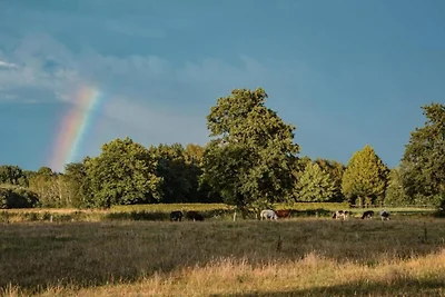 Gepflegter Bungalow in der Nהhe der Veluwe