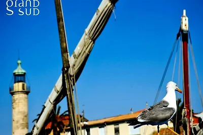 Ferienwohnung in Grau du Roi in Strandnähe