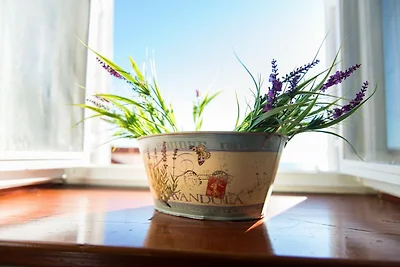 Rooms Lavanda & Ruzmarin - Double Room with P...