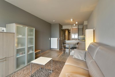Gezellig appartement in Blankenberge