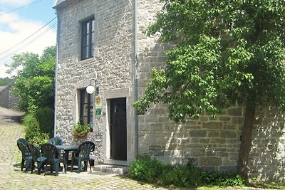 Gemütliches Ferienhaus in Viroinval mit...