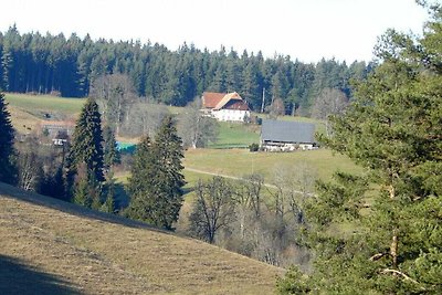 Residenza forestale Rifugio moderno