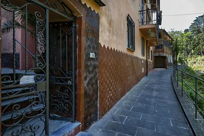 Comfy and Quiet in Camogli
