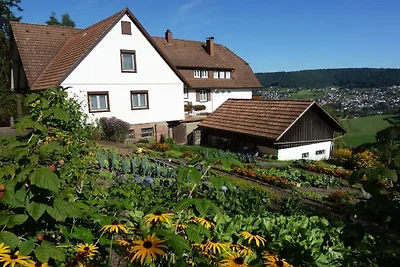 Ferienwohnung mit 2 Schlafzimmer
