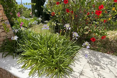 Garten (Sommer) Garten (Sommer)