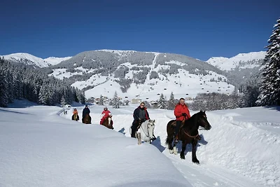 Wohnung im Zillertal nahe Skipisten