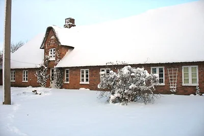 Hof Nahnsen, Urlaub unter Reet