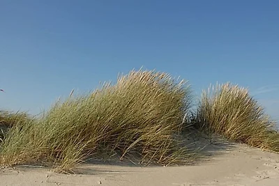 "Lüttje Droem" Residenza di vacanza...