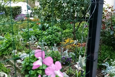 2-Zimmer-Wohnung mit Terrasse