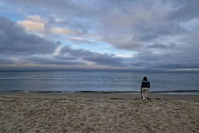 14 persone case ad Læsø