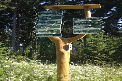Casa vacanze Adlerblick, fare nella foresta.