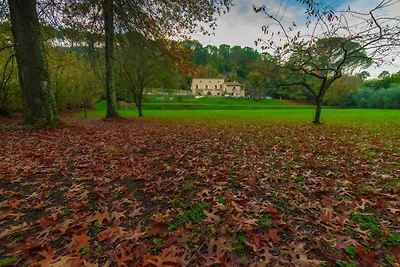 Villa in der Toskana nahe Lucca und Pisa