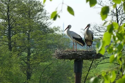 "Op'e Deel" im Bremer Blockland
