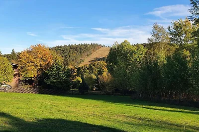 Ferienhaus mit Terrasse im Skigebiet