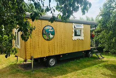 Ferienhaus in Bergen op Zoom mit Garten
