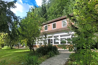 Geräumiges Ferienhaus am Waldrand