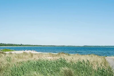 6 Personen Ferienhaus in Juelsminde-By Traum