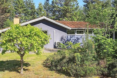 6 Personen Ferienhaus in Højslev-By Traum