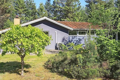 6 persone case ad Højslev-By Traum
