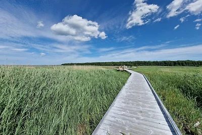 4 Personen Ferienhaus in Mörbylånga-By Traum