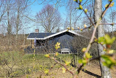 6 Personen Ferienhaus in Fjerritslev