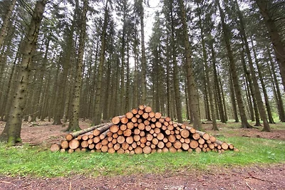 4 Personen Ferienhaus in Østervrå-By Traum