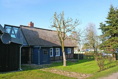 Aangenaam vakantiehuis met tuin