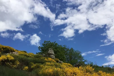 Prachtig, vrijstaand vakantiehuis op een...