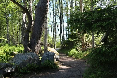 4 Sterne Ferienhaus in VÄRNAMO