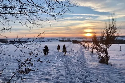 Designerappartement in Großharthau
