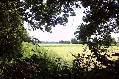 Agriturismo a Waskemeer vicino alla foresta